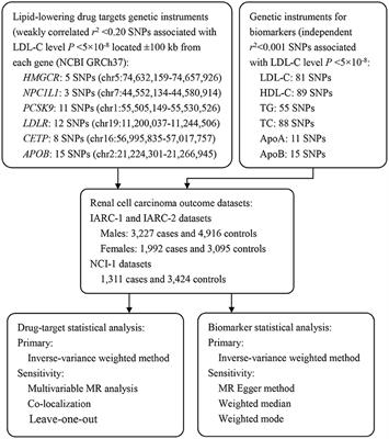 Association Between Genetically Proxied Lipid-Lowering Drug Targets and Renal Cell Carcinoma: A Mendelian Randomization Study